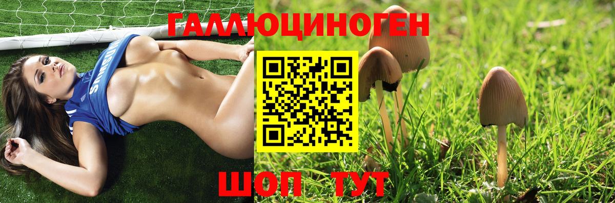 Галлюциногенные грибы Cubensis  Псилоцибиновые грибы Magic Shrooms  Звенигород  Вход с VPN 
